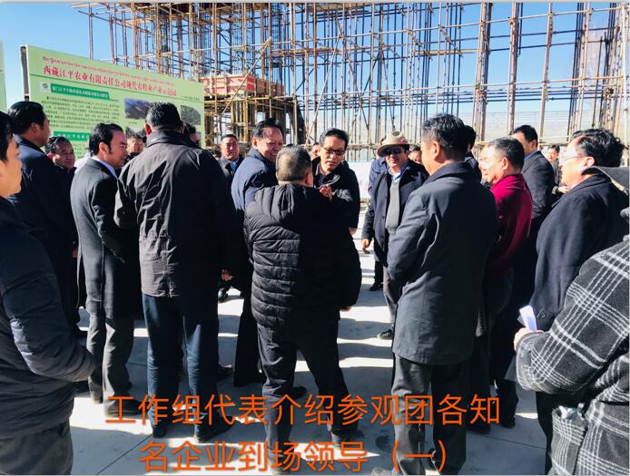 人生就是搏(ZLKS)集团唯一官方网站