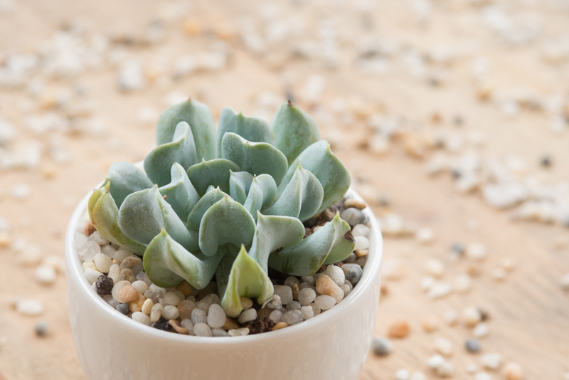 5b1de80ce488e