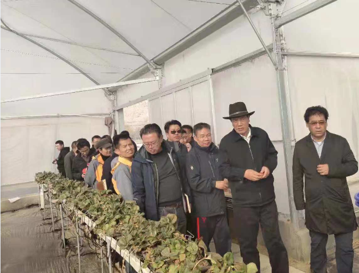 人生就是搏(ZLKS)集团唯一官方网站