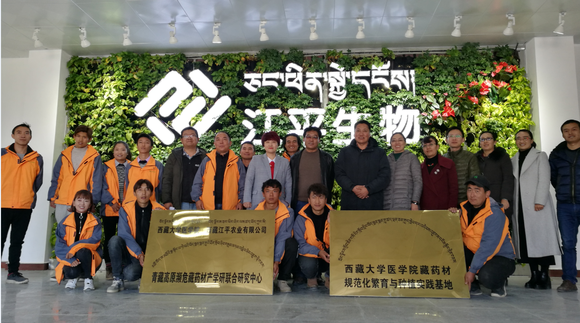 人生就是搏(ZLKS)集团唯一官方网站