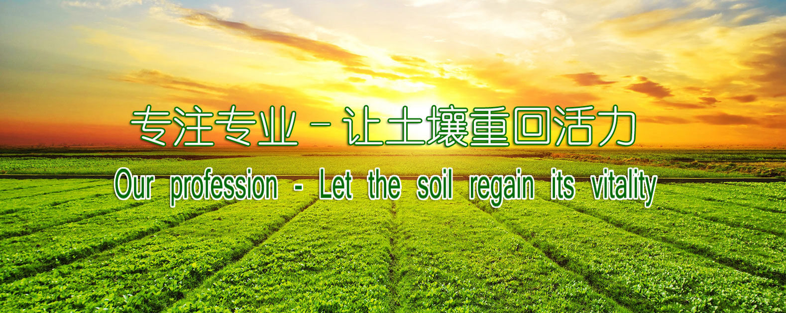 人生就是搏(ZLKS)集团唯一官方网站