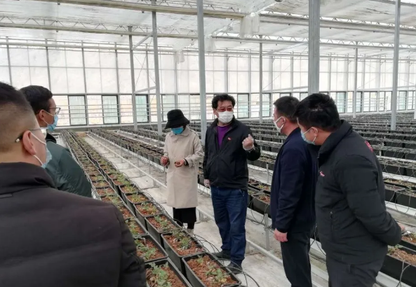人生就是搏(ZLKS)集团唯一官方网站