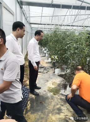 人生就是搏(ZLKS)集团唯一官方网站