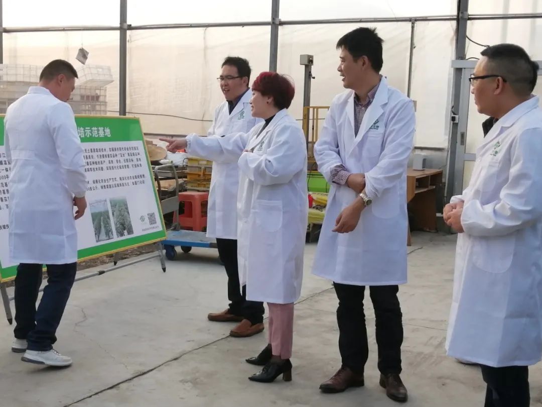 人生就是搏(ZLKS)集团唯一官方网站