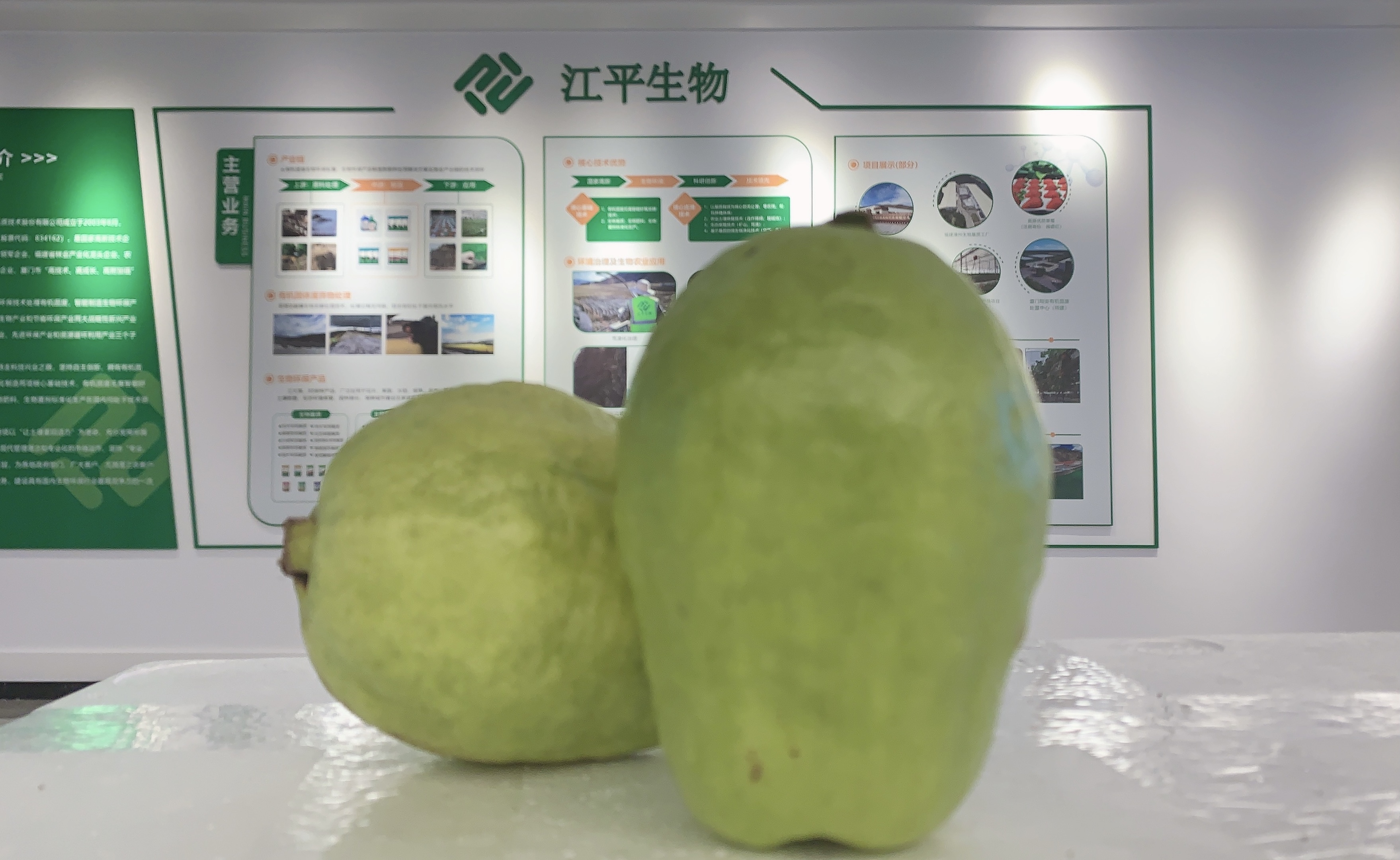 人生就是搏(ZLKS)集团唯一官方网站