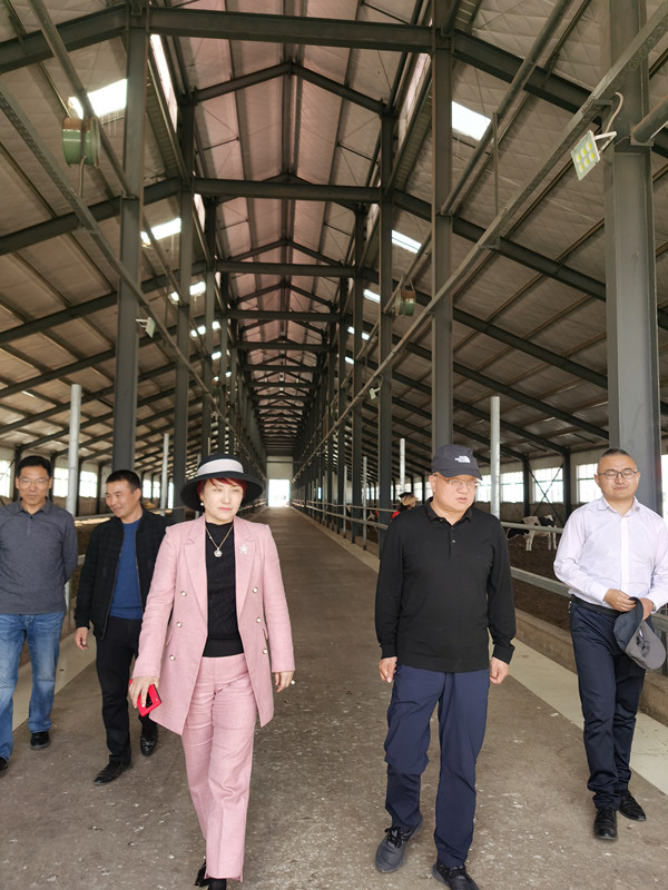 人生就是搏(ZLKS)集团唯一官方网站