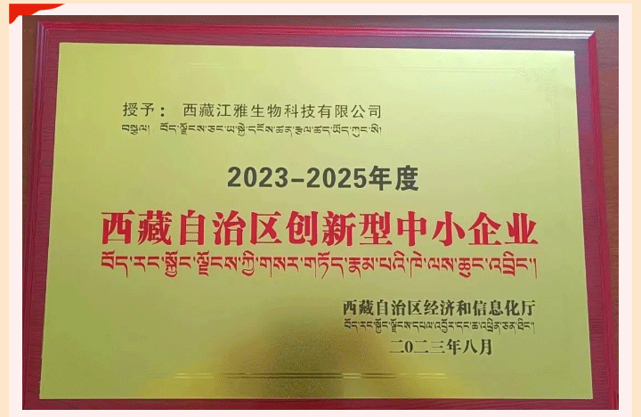 6503fa9966378